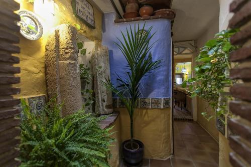 Aparthotel Puerta De Aduares
